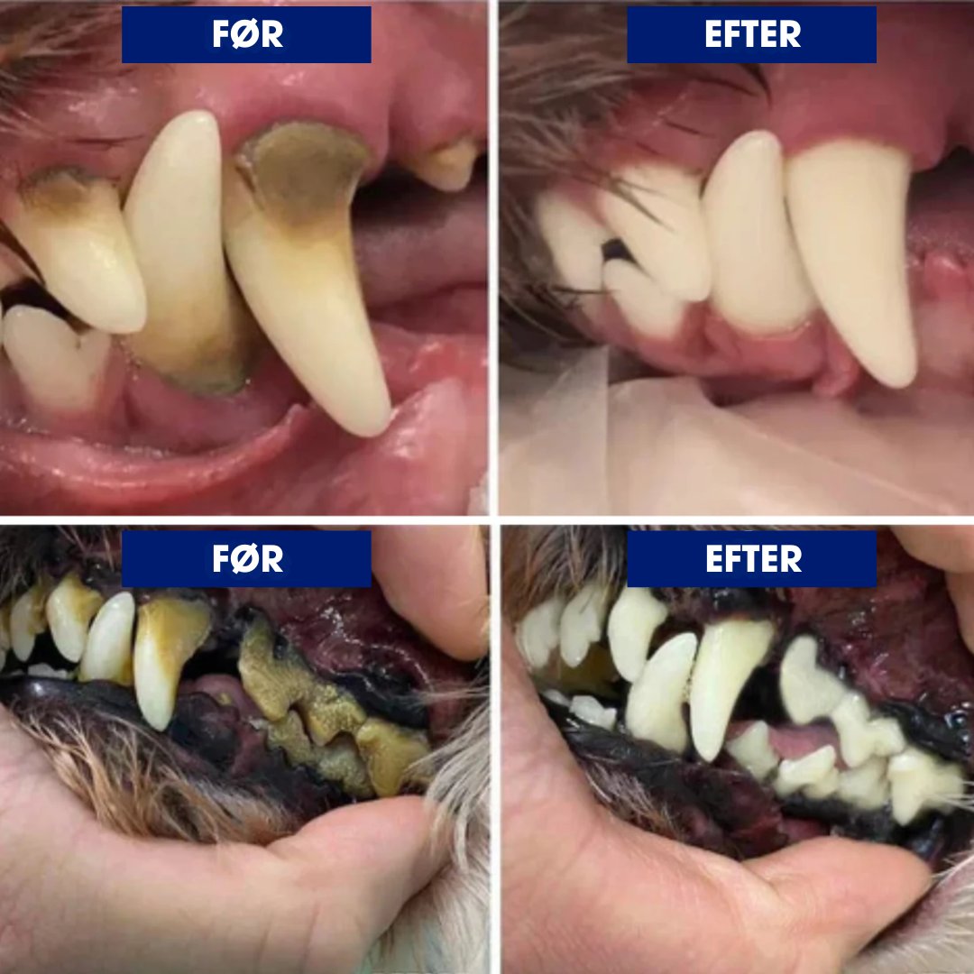 PetDental Pro™ - Forbedr din pelsede vens tandhygiejne derhjemme